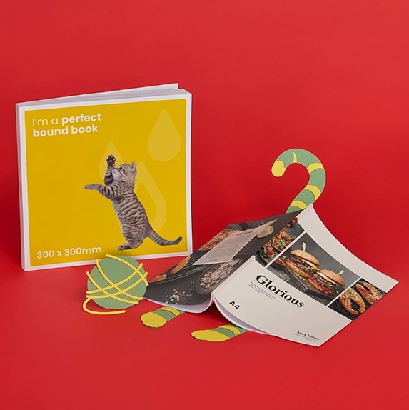 Perfect Bound Book Printing