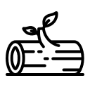 A log with a small plant sprouting from it.