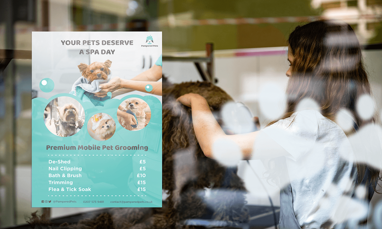 Woman grooming a dog next to a poster advertising premium mobile pet grooming services.