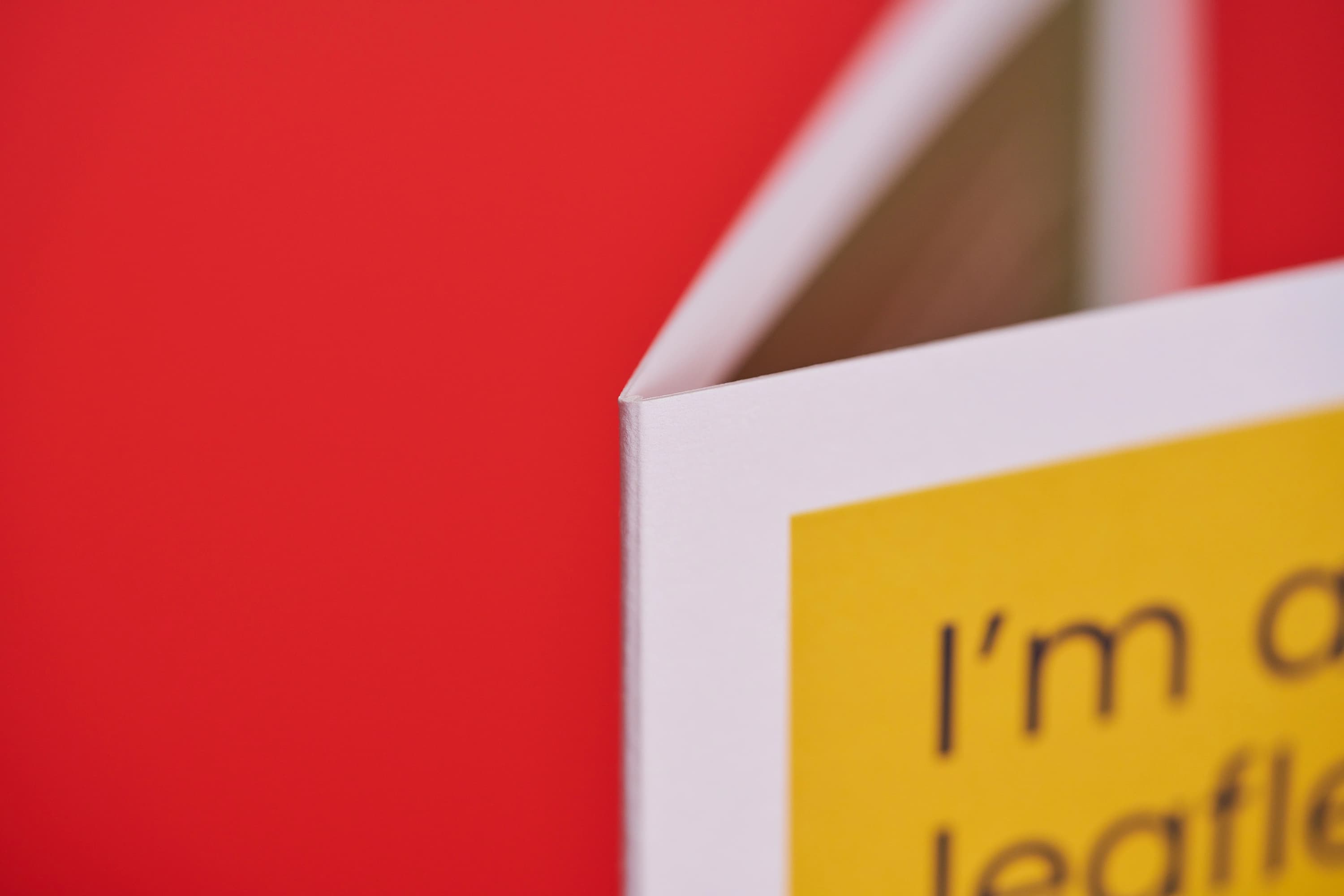 Close-up of a partially opened brochure against a red background.