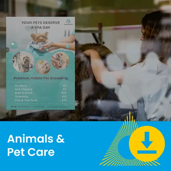 A pet grooming flyer is displayed as a woman grooms a dog in a pet care setting.