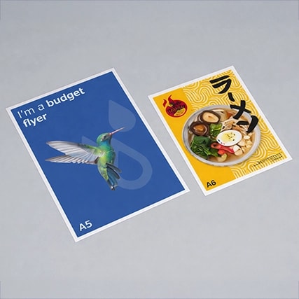 Two printed flyers on a gray surface, one blue with a bird and one yellow with ramen.
