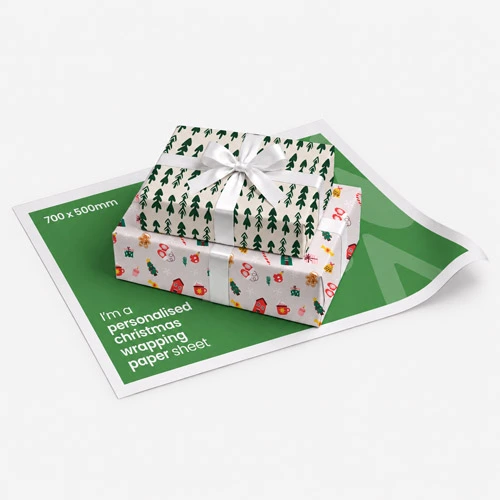 Christmas-themed cactus wrapping paper with Santa hats, shown flat, rolled, and with label.